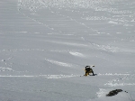 /Ski/2008/Images/1558/mini-neige210308 021Icon.jpg